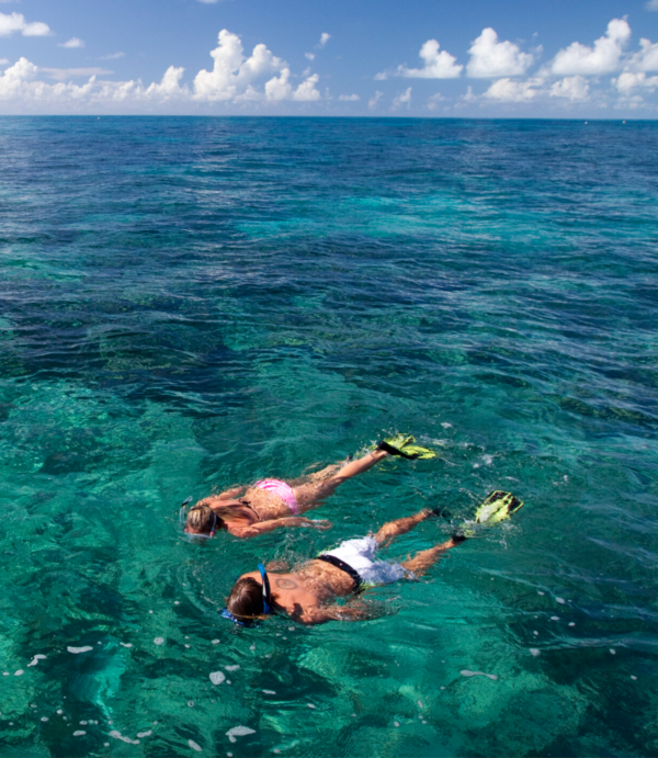 Honeymoon - Snorkling Tour